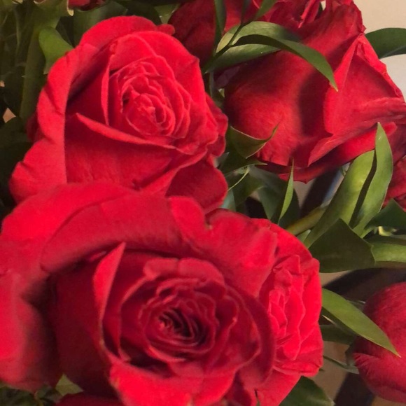 Meet your Posher, Dunia - Picture 1 of 1